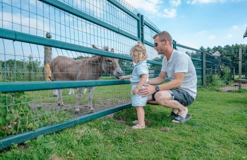 Dierenweide boerderij